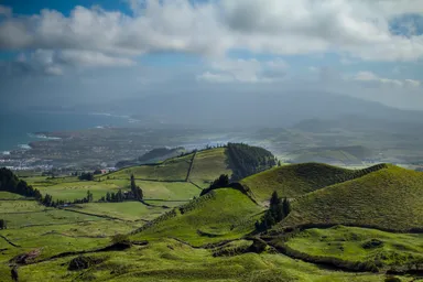 Green Meadows